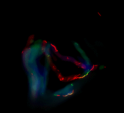 3665