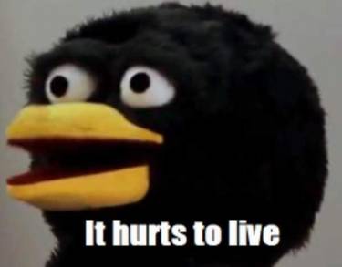 27249