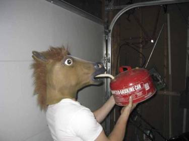 27598