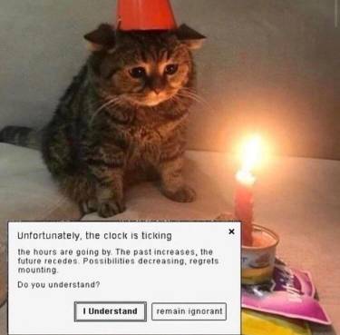 31661