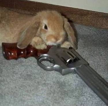 33397