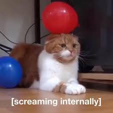 441493