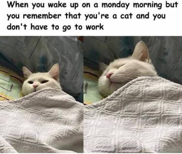 468373