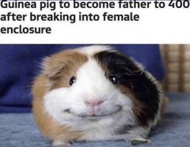 5435