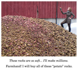3205