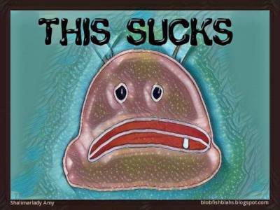 21155