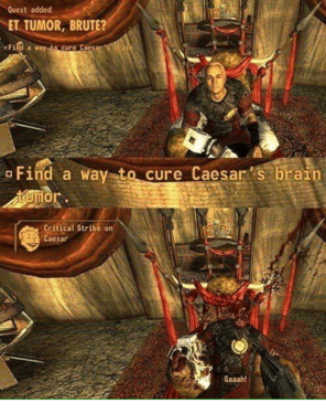 24498
