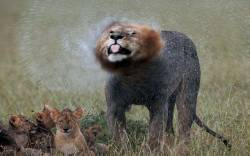 2829