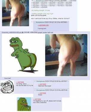 4445