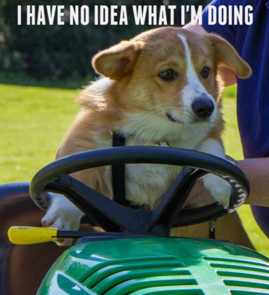 4461