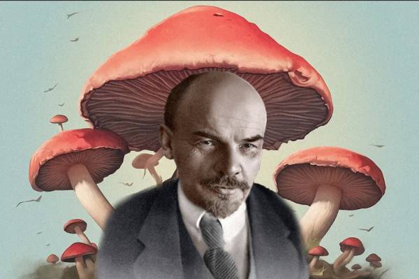 6351