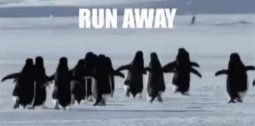 27720