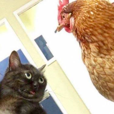 71216