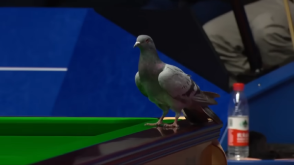 72132