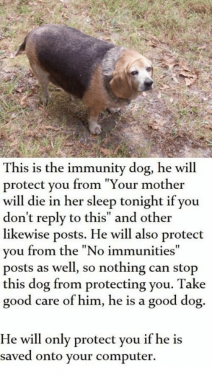 72344