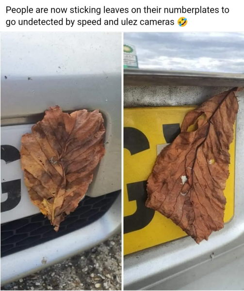 72525