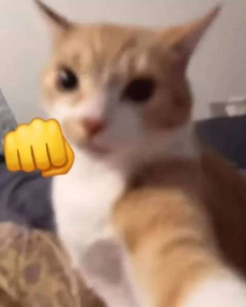 72722