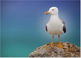 12880