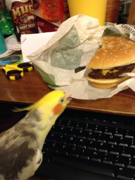 14860