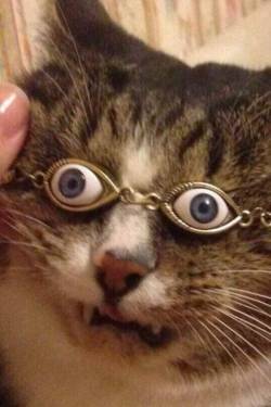 15056