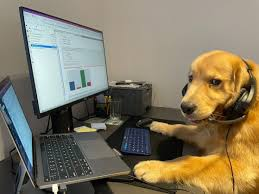 15199