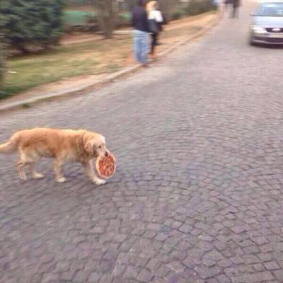 3722