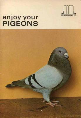 6389