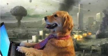3717