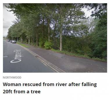 15733