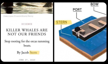 40400