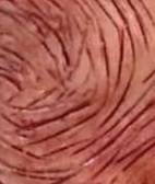 42473