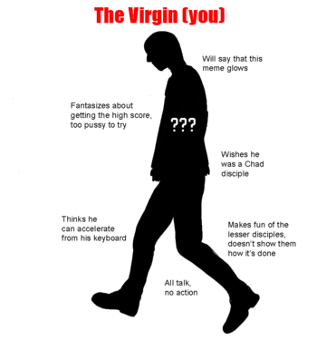 87733