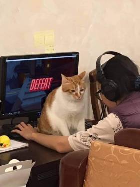 92486