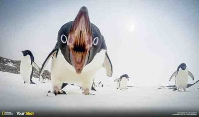 13570