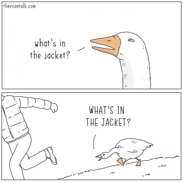 16178
