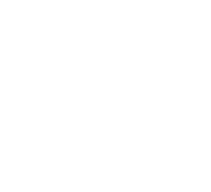 589