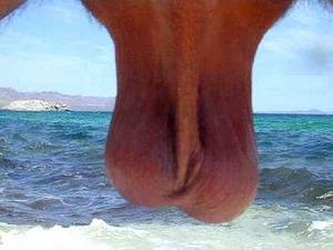 864