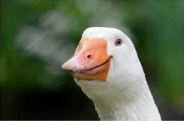 3247
