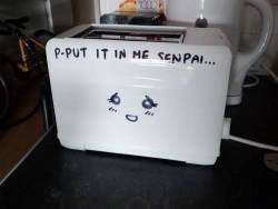 40507