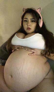 43041